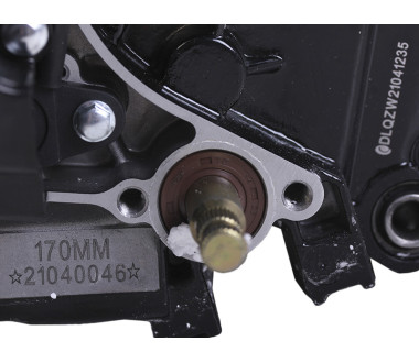 Двигун CG300-2 ТАТА на мотоцикл, 170мм (з водяним охолодженням, бензиновий)