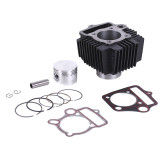 Поршневая (ЦПГ) 52 мм, к-т: 12 единиц - 110СС - Актив/Дельта/Альфа Y-BOX