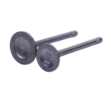 Клапани, к-т: 2 шт. - 178F Y-BOX