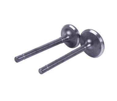 Клапани, к-т: 2 шт. - 178F Y-BOX