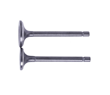 Клапани, к-т: 2 шт. - 178F Y-BOX