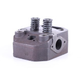 Головка циліндра у зборі (ZUBR original) - 195N