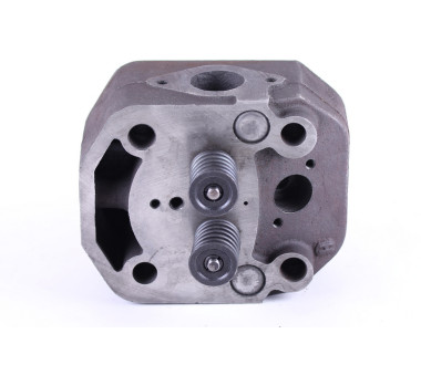 Головка циліндра у зборі (ZUBR original) - 195N