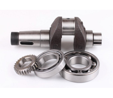 Колінвал у зборі + підшипники 2 шт. + шестерня – 190N