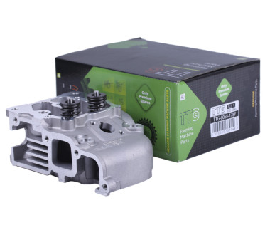 Головка блоку в зборі (під 2 болти) - 178F - TTG