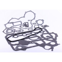 Прокладка двигуна, к-т: 22 шт. ZN490BT