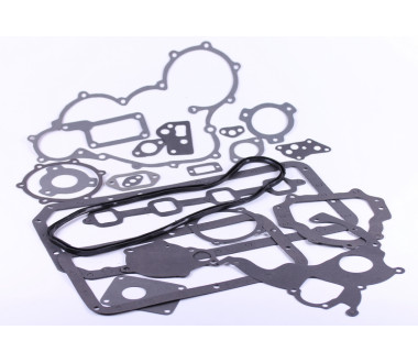 Прокладка двигуна, к-т: 22 шт. ZN490BT