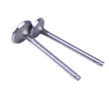 Клапаны, L-120 мм, к-т 2 шт. - Zubr - 195N