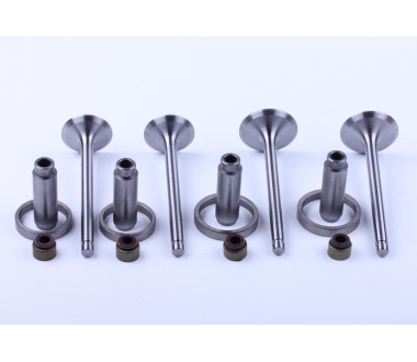 Клапани, к-т TY2100 Xingtai 244