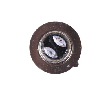 Лампа фари діодна 2 кристали 1 вусик П15Д-25-1 12В 35/35W - LED - АМ