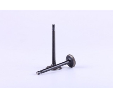 Клапани, к-т: 2 шт. - 177F - Premium
