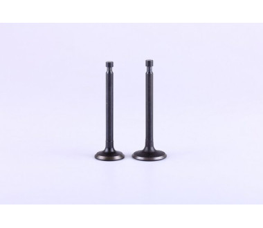 Клапани, к-т: 2 шт. - 177F - Premium