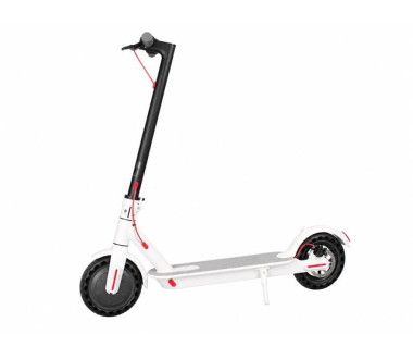 Электросамокат литий-ионный TTG SM CS-518 36V 350W 7.8 AH белый