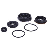 Сальники редуктора TT AGRO MOTO на бензиновий двигун 168F/170F, к-т: 6 шт.