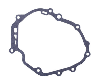 Прокладка кришки блоку - P65F (ZS)