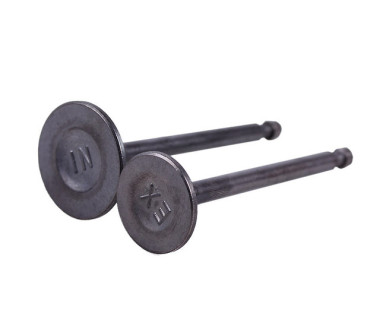 Клапаны, к-т: 2 шт. (тип 2) - 178F YBX