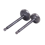 Клапаны, к-т: 2 шт. (тип 2) - 178F YBX