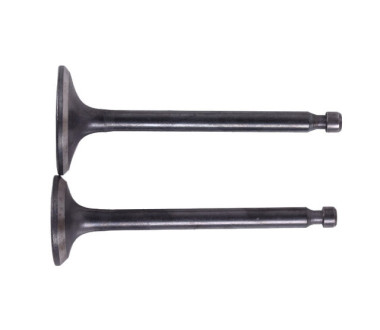 Клапаны, к-т: 2 шт. (тип 2) - 178F YBX