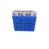 Акумулятор гелевий TTG 12N7-BS 7АH 137×76×128 мм синій, з індикатором