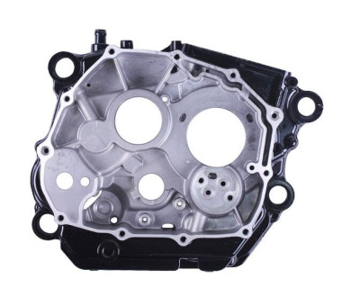 Картер правий CG300