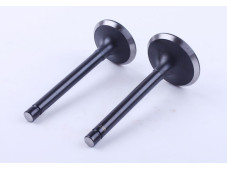 Клапани, к-т: 2 шт. - GZ-195N YBX