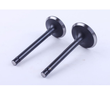 Клапани, к-т: 2 шт. - GZ-195N YBX