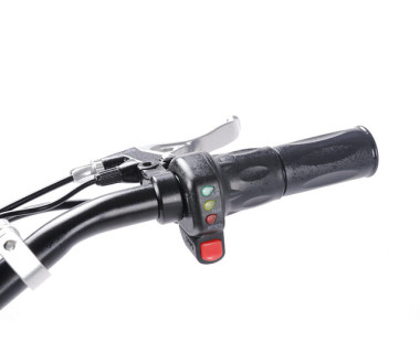 Электросамокат с сиденьем (черный) DES06C1 36V1000W 12AH - SM