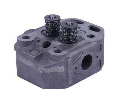 Головка циліндра у зборі - ZS/ZH1100 YBX