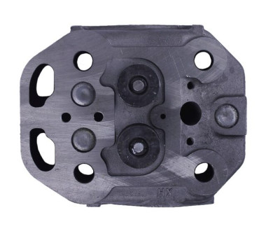 Головка циліндра у зборі - ZS/ZH1100 YBX