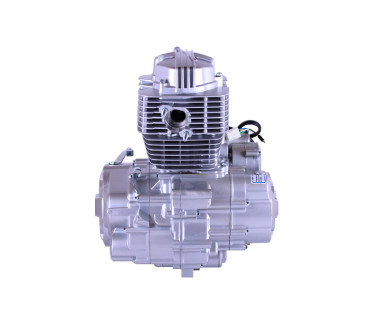 Двигун СG 200CC ТАТА на триколісний мотоцикл (з повітряним охолодженням, бензиновий)