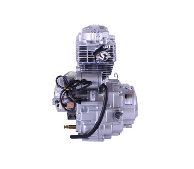 Двигун СG 200CC ТАТА на триколісний мотоцикл (з повітряним охолодженням, бензиновий)