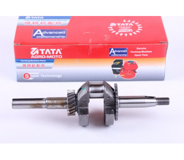 Колінвал + шестірні 2 шт. - 156F