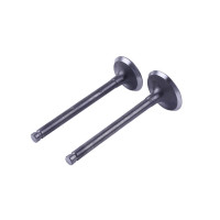 Клапани, к-т 2 шт. - Актив/Дельта/Альфа