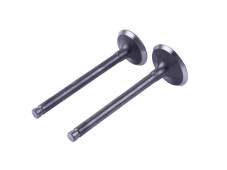 Клапани, к-т 2 шт. - Актив/Дельта/Альфа