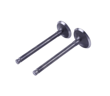 Клапани, к-т 2 шт. - Актив/Дельта/Альфа