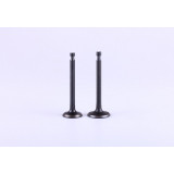 Клапани, к-т: 2 шт. - 177F - Premium