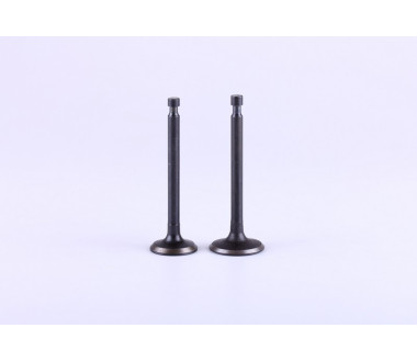 Клапани, к-т: 2 шт. - 177F - Premium