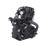 Двигун CG300 ТАТА на мотоцикл, L170 ММ (з водяним охолодженням, бензиновий)
