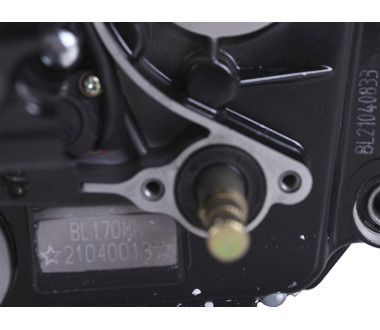 Двигун CG300 ТАТА на мотоцикл, L170 ММ (з водяним охолодженням, бензиновий)