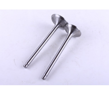 Клапани L-93 мм, к-т: 2 шт. - GZ-195N - Premium