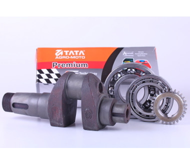 Колінвал у зборі + шестерня - ZUBR original - 195N - Premium