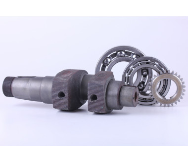 Колінвал у зборі + шестерня - ZUBR original - 195N - Premium