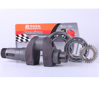 Колінвал у зборі + шестерня - ZUBR original - 195N - Premium