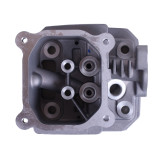 Головка блоку гола - P65F (ZS)