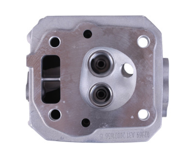 Головка блоку гола - P65F (ZS)