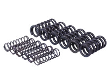 Пружини натискного диска, к-т: 12 шт. - MFC Y-BOX