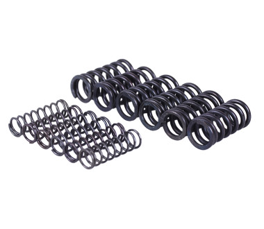 Пружини натискного диска, к-т: 12 шт. - MFC Y-BOX