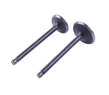 Клапаны, к-т: 2 шт. - 186F УЦЕНКА