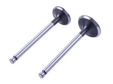 Клапани, к-т: 2 шт. - 190N