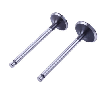 Клапани, к-т: 2 шт. - 190N